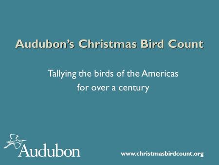 Www.christmasbirdcount.org Audubon’s Christmas Bird Count Tallying the birds of the Americas for over a century.