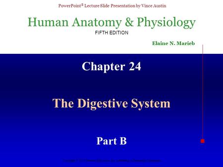 Chapter 24 The Digestive System Part B.