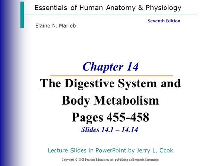 Chapter 14 The Digestive System and Body Metabolism Pages
