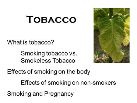 Tobacco What is tobacco? Smoking tobacco vs. Smokeless Tobacco Effects of smoking on the body Effects of smoking on non-smokers Smoking and Pregnancy.
