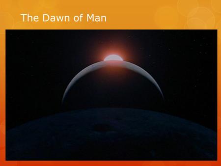 The Dawn of Man. Pre-history  In order to understand the development of human civilizations we need to use several different scientific disciplines.