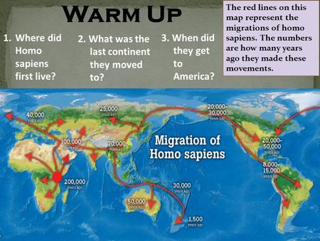 Warm Up 1.Where did Homo sapiens first live? The red lines on this map represent the migrations of homo sapiens. The numbers are how many years ago they.