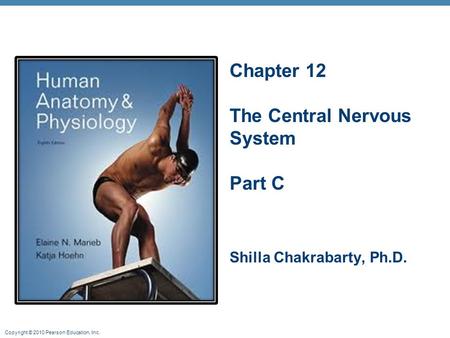 Chapter 12 The Central Nervous System Part C Shilla Chakrabarty, Ph.D.
