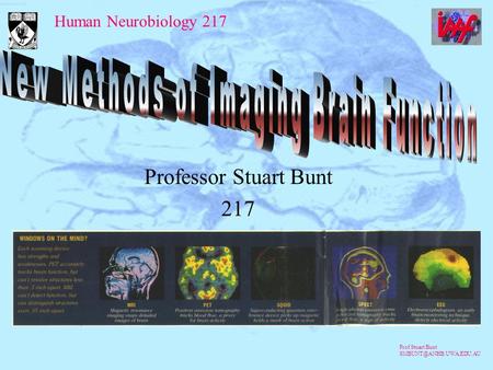 Human Neurobiology 217 Prof Stuart Bunt Professor Stuart Bunt 217.