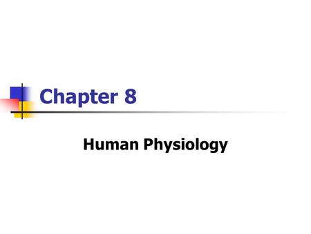 Chapter 8 Human Physiology. Copyright © The McGraw-Hill Companies, Inc. Permission required for reproduction or display. CNS Consists of: Brain Spinal.
