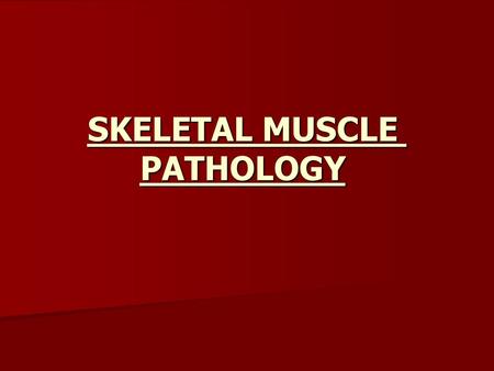 SKELETAL MUSCLE PATHOLOGY. Normal skeletal muscle.