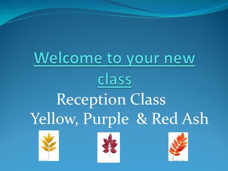 Reception Class Yellow, Purple & Red Ash. Timetable 2012 -21013.