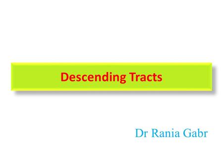 Descending Tracts Dr Rania Gabr.