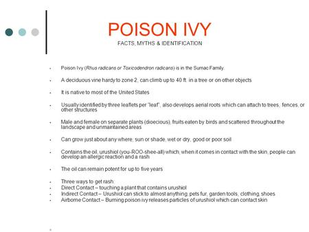 POISON IVY FACTS, MYTHS & IDENTIFICATION  Poison Ivy (Rhus radicans or Toxicodendron radicans) is in the Sumac Family.  A deciduous vine hardy to zone.