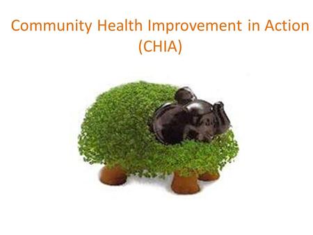 Community Health Improvement in Action (CHIA). CHIA Overview What is the CHIA project? What distinguishes funded partners from other participants? What.