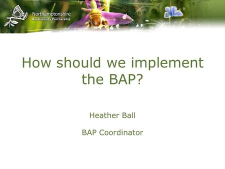 How should we implement the BAP? Heather Ball BAP Coordinator.