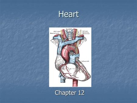 Heart Chapter 12. Heart Heart System of a pump and pathway for blood to travel Arteries- vessels that carry blood away from the heart Veins- vessels.