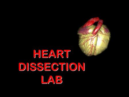 HEART DISSECTION LAB. Procedure 1.Obtain a dissection pan and dissecting kit.