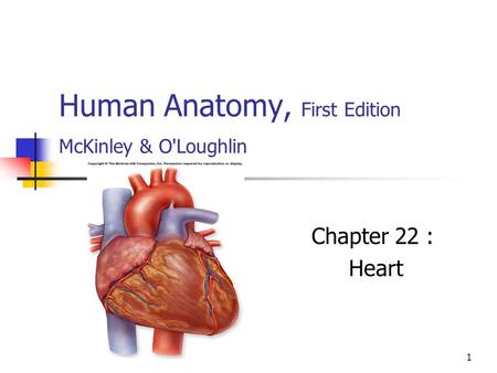 Human Anatomy, First Edition McKinley & O'Loughlin