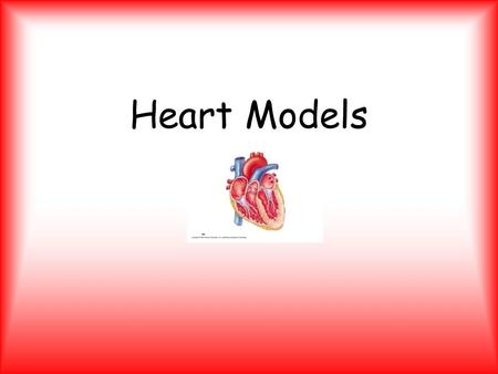 Heart Models.