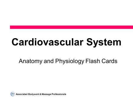 Associated Bodywork & Massage Professionals Cardiovascular System Anatomy and Physiology Flash Cards.