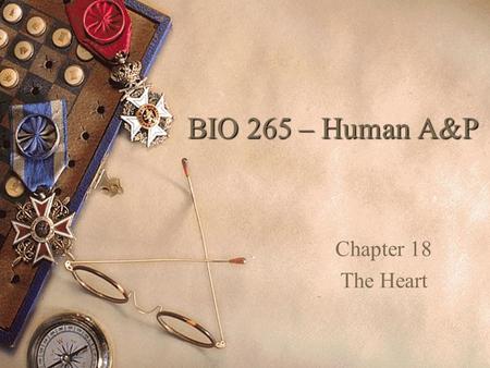 BIO 265 – Human A&P Chapter 18 The Heart.