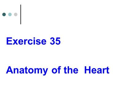Exercise 35 Anatomy of the Heart.