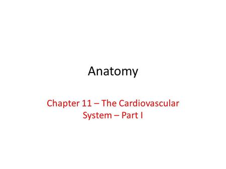 Chapter 11 – The Cardiovascular System – Part I