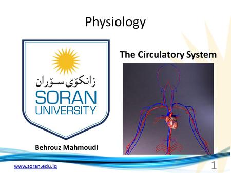 Www.soran.edu.iq Physiology Behrouz Mahmoudi The Circulatory System 1.