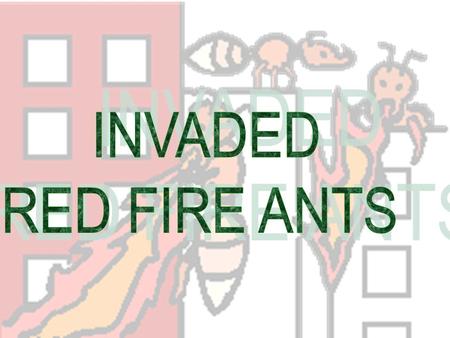 Originally from tropical South America, the red fire ant gained entry to the United States through the port of Mobile, Alabama in the late 1930's on cargo.