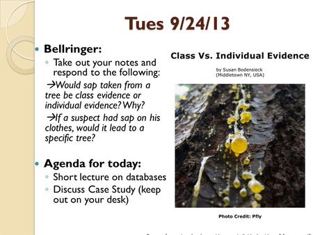 Tues 9/24/13 Bellringer: ◦ Take out your notes and respond to the following:  Would sap taken from a tree be class evidence or individual evidence? Why?