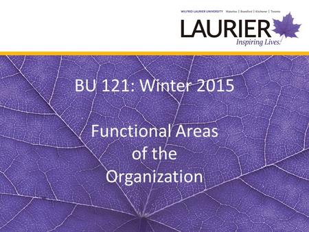BU 121: Winter 2015 Functional Areas of the Organization.