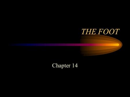 THE FOOT Chapter 14. Introduction The traditional sports activities in which athletes compete at the high school, college and professional level all involve.