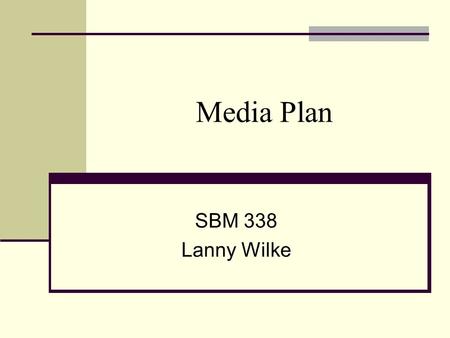 Media Plan SBM 338 Lanny Wilke.