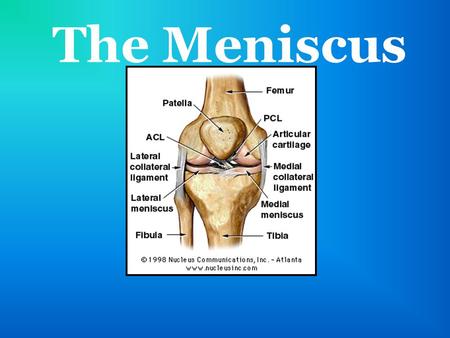 The Meniscus. Anatomy Lies between the femur and the tibia Two menisci: lateral and medial Avascular- doesn’t have blood vessels inside (prevents it from.