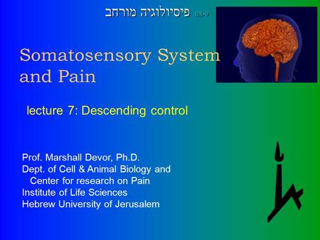 Somatosensory System and Pain Prof. Marshall Devor, Ph.D. Dept. of Cell & Animal Biology and Center for research on Pain Institute of Life Sciences Hebrew.