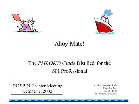 The PMBOK® Guide Distilled for the SPI Professional