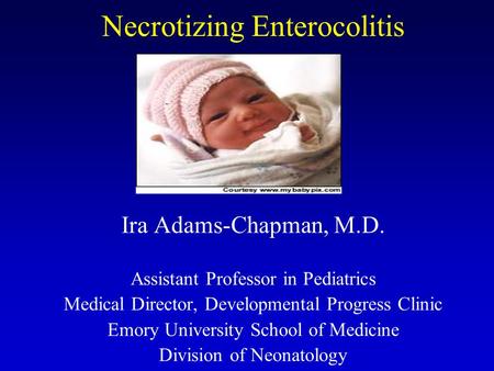 Necrotizing Enterocolitis Ira Adams-Chapman, M.D. Assistant Professor in Pediatrics Medical Director, Developmental Progress Clinic Emory University School.
