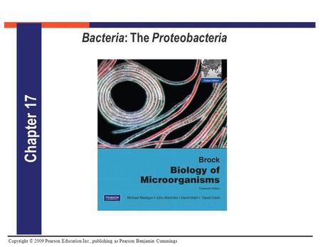 Bacteria: The Proteobacteria