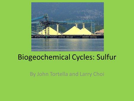 Biogeochemical Cycles: Sulfur By John Tortella and Larry Choi.