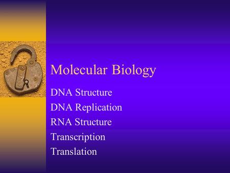 DNA Structure DNA Replication RNA Structure Transcription Translation