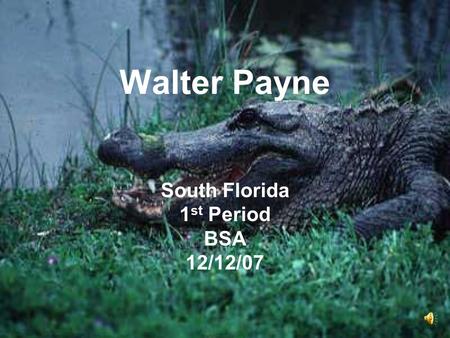 Walter Payne South Florida 1 st Period BSA 12/12/07.