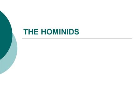 THE HOMINIDS.