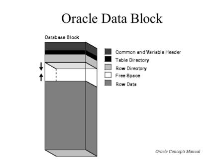 Oracle Data Block Oracle Concepts Manual. Oracle Rows Oracle Concepts Manual.