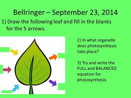 Bellringer – September 23, 2014 1) Draw the following leaf and fill in the blanks for the 5 arrows. 2) In what organelle does photosynthesis take place?