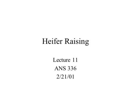 Heifer Raising Lecture 11 ANS 336 2/21/01. Once A Day Feeding - Milk Reduces labor? Reduces scours Promotes faster rumen development When a calf drinks.