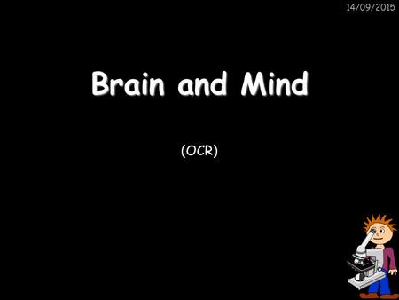 14/09/2015 Brain and Mind (OCR). 14/09/2015 The Nervous System The CENTRAL NERVOUS SYSTEM (CNS) enables us to react to our surroundings. It consists mainly.
