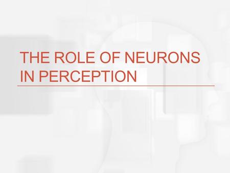 THE ROLE OF NEURONS IN PERCEPTION Basic Question How can the messages sent by neurons represent objects in the environment?