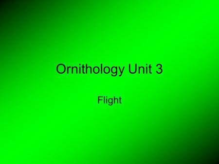 Ornithology Unit 3 Flight. Flight Variations Some birds can hover Some birds can dive.