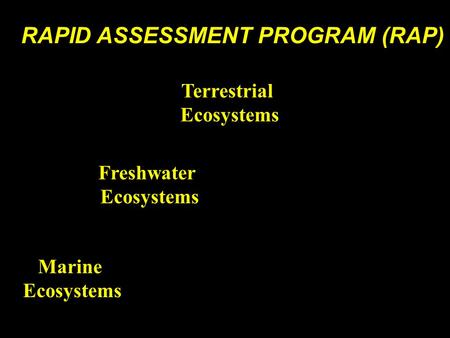 RAPID ASSESSMENT PROGRAM (RAP) Terrestrial Ecosystems Freshwater Ecosystems Marine Ecosystems.