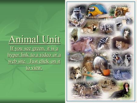 Animal Unit If you see green, it is a hyper link to a video or a web site. Just click on it to view.