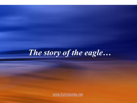 The story of the eagle… www.funnybytes.net. The eagle has the longest life-span of its’ species.