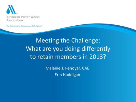 Meeting the Challenge: What are you doing differently to retain members in 2013? Melanie J. Penoyar, CAE Erin Haddigan.