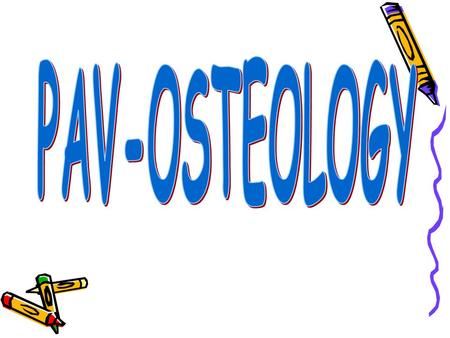 PAV-OSTEOLOGY.