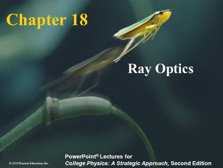 Chapter 18 Ray Optics.